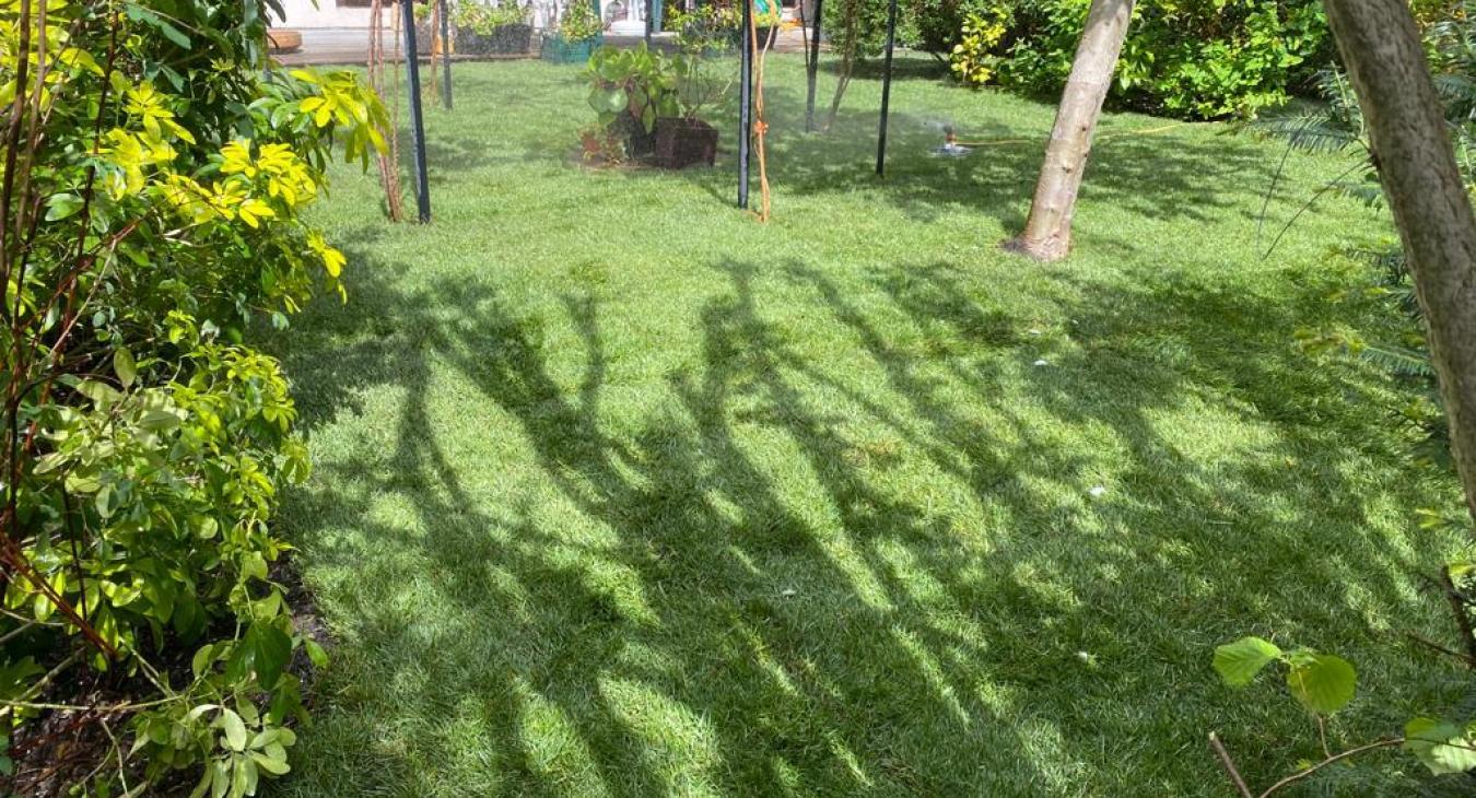 Aménagement de jardin & Pose de pelouse en rouleaux L'Isle-Adam