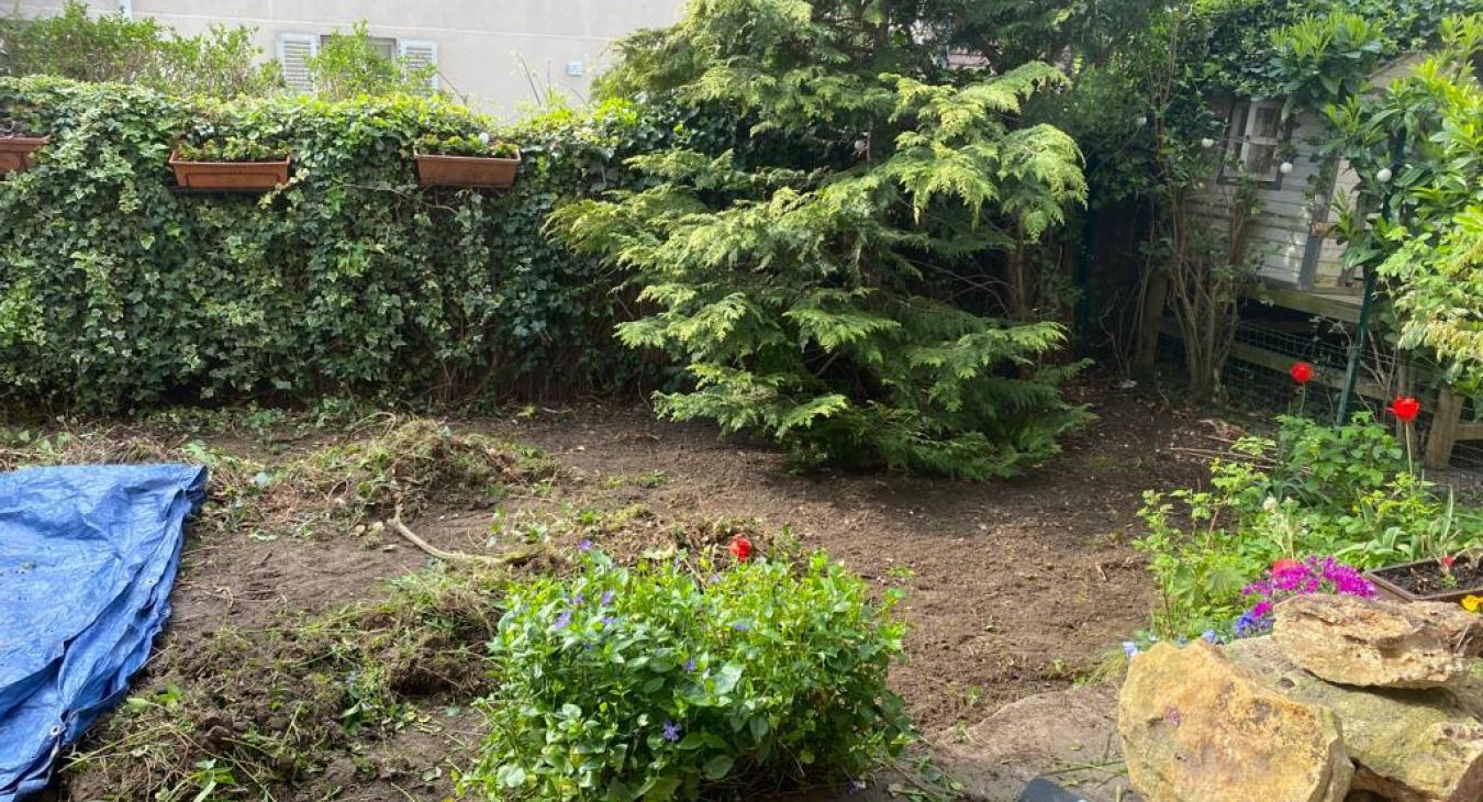 Aménagement de jardin & Pose de pelouse en rouleaux L'Isle-Adam