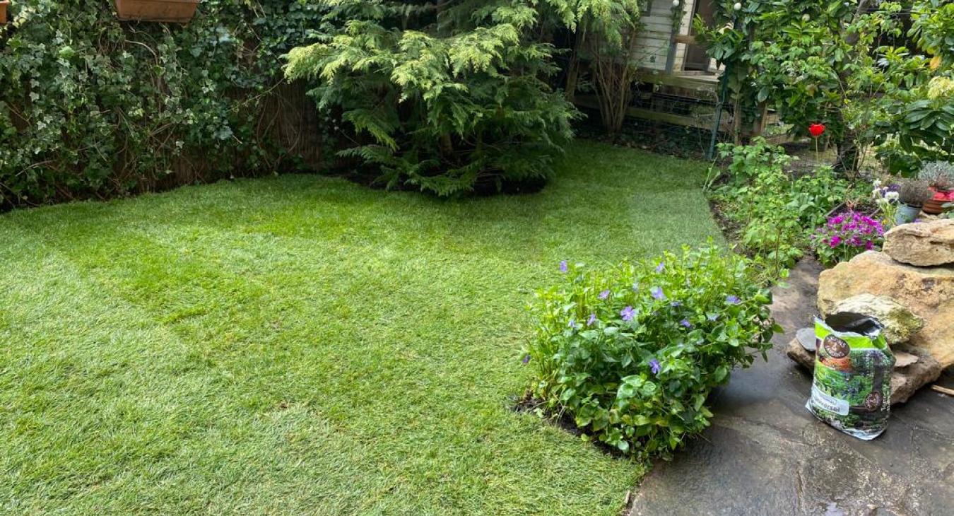 Aménagement de jardin & Pose de pelouse en rouleaux L'Isle-Adam
